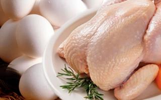 Affärsplan för att föda upp kycklingar och organisera en fjäderfäfarm