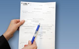 Instructions for filling out the 3-NDFL tax return