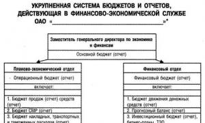 Financial department of the company: functions and tasks Regulations on the financial department of a state institution