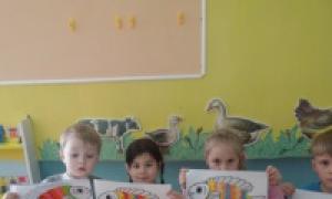 Presentation av akvariefiskar för äldre barn