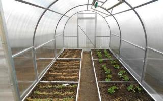 Arrangemang av ett växthus: tekniker och tricks för planering inuti byggnaden
