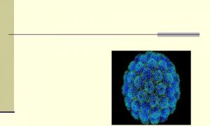Akut virusinfektion - poliomyelit Funktioner i sjukdomsförloppet