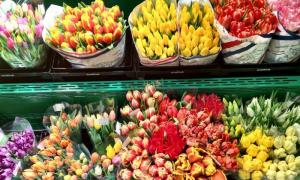 Blomsterbutik - affärsplan för att öppna Hur man startar en blomsteraffär